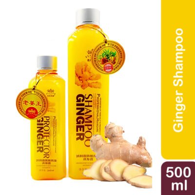 protector ginger shampoo price in bangladesh
